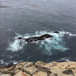 Meet your Posher, Ella